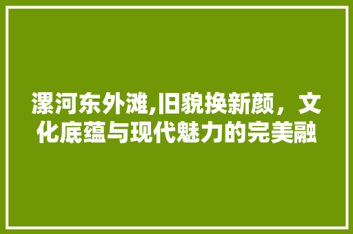 漯河东外滩,旧貌换新颜，文化底蕴与现代魅力的完美融合