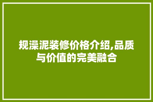 规澡泥装修价格介绍,品质与价值的完美融合