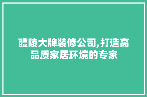醴陵大牌装修公司,打造高品质家居环境的专家