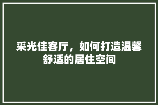 采光佳客厅，如何打造温馨舒适的居住空间