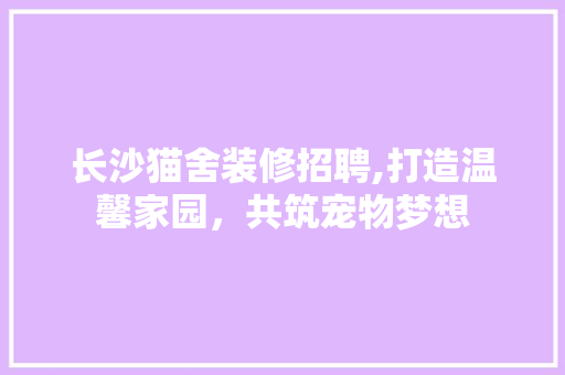 长沙猫舍装修招聘,打造温馨家园，共筑宠物梦想