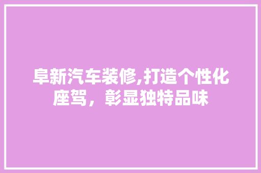 阜新汽车装修,打造个性化座驾，彰显独特品味