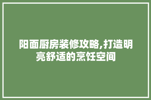 阳面厨房装修攻略,打造明亮舒适的烹饪空间