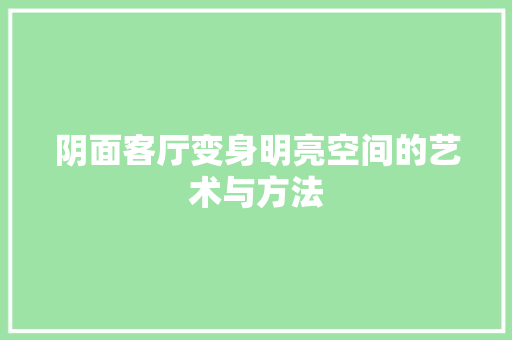 阴面客厅变身明亮空间的艺术与方法