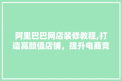 阿里巴巴网店装修教程,打造高颜值店铺，提升电商竞争力