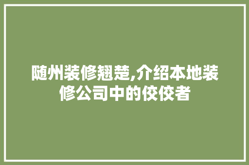 随州装修翘楚,介绍本地装修公司中的佼佼者