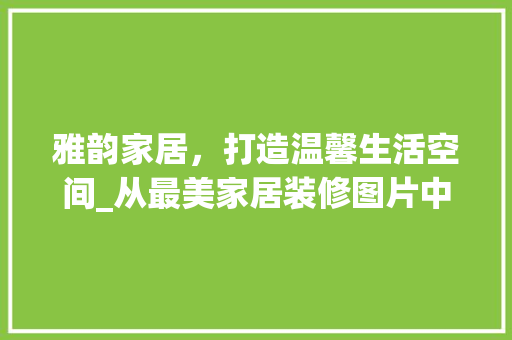 雅韵家居，打造温馨生活空间_从最美家居装修图片中汲取灵感