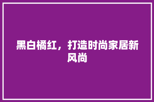 黑白橘红，打造时尚家居新风尚