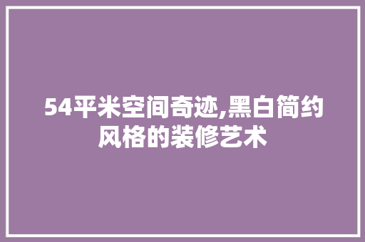 54平米空间奇迹,黑白简约风格的装修艺术