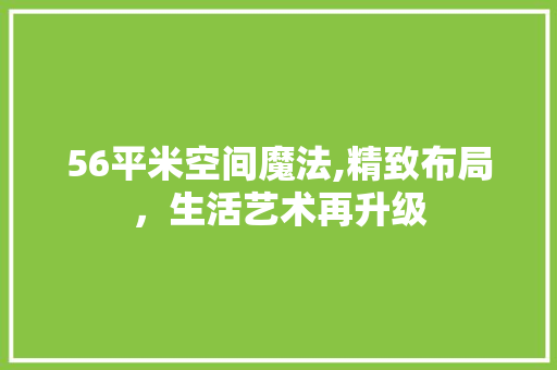 56平米空间魔法,精致布局，生活艺术再升级