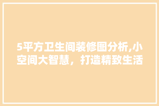 5平方卫生间装修图分析,小空间大智慧，打造精致生活
