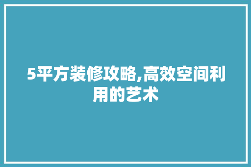 5平方装修攻略,高效空间利用的艺术