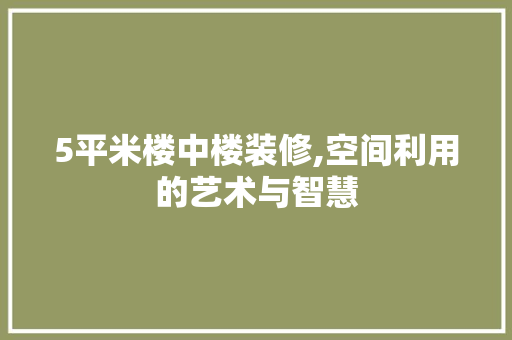 5平米楼中楼装修,空间利用的艺术与智慧