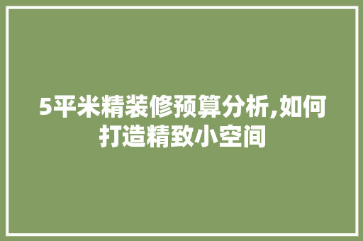 5平米精装修预算分析,如何打造精致小空间