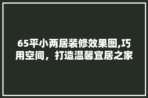 65平小两居装修效果图,巧用空间，打造温馨宜居之家