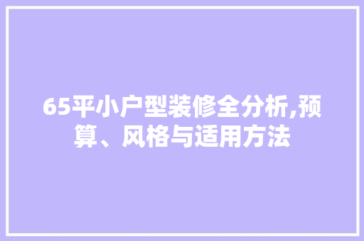 65平小户型装修全分析,预算、风格与适用方法