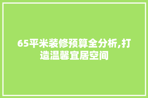 65平米装修预算全分析,打造温馨宜居空间