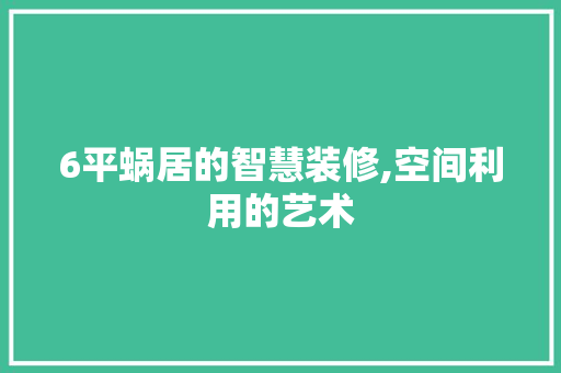 6平蜗居的智慧装修,空间利用的艺术