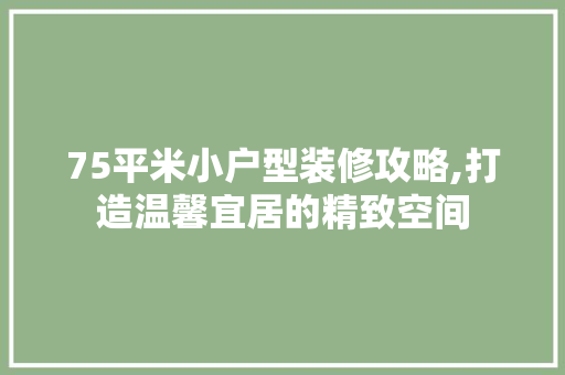 75平米小户型装修攻略,打造温馨宜居的精致空间