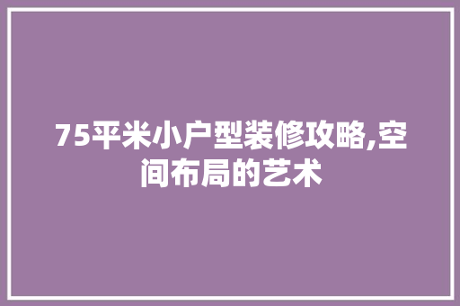75平米小户型装修攻略,空间布局的艺术