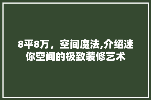 8平8万，空间魔法,介绍迷你空间的极致装修艺术