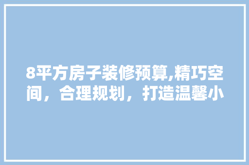 8平方房子装修预算,精巧空间，合理规划，打造温馨小窝