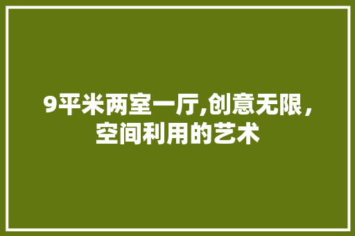 9平米两室一厅,创意无限，空间利用的艺术