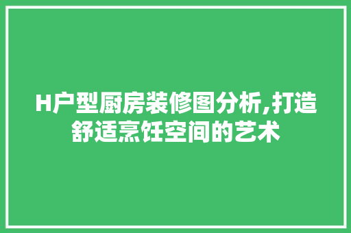H户型厨房装修图分析,打造舒适烹饪空间的艺术