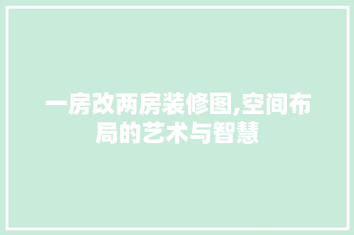 一房改两房装修图,空间布局的艺术与智慧