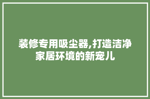 装修专用吸尘器,打造洁净家居环境的新宠儿