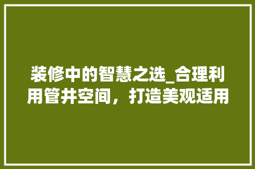 装修中的智慧之选_合理利用管井空间，打造美观适用家居环境