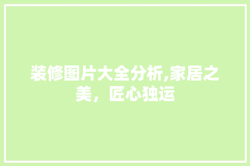 装修图片大全分析,家居之美，匠心独运
