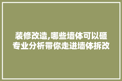 装修改造,哪些墙体可以砸专业分析带你走进墙体拆改的世界