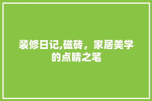 装修日记,磁砖，家居美学的点睛之笔