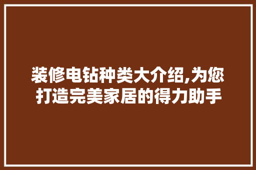 装修电钻种类大介绍,为您打造完美家居的得力助手