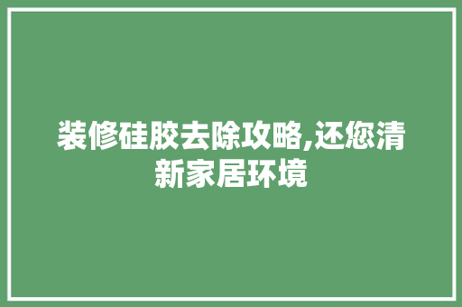 装修硅胶去除攻略,还您清新家居环境