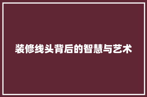 装修线头背后的智慧与艺术
