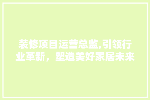 装修项目运营总监,引领行业革新，塑造美好家居未来