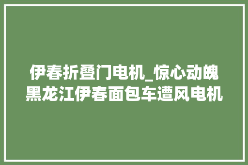 伊春折叠门电机_惊心动魄黑龙江伊春面包车遭风电机叶片突袭七人事业生还