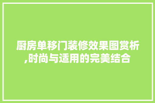 厨房单移门装修效果图赏析,时尚与适用的完美结合