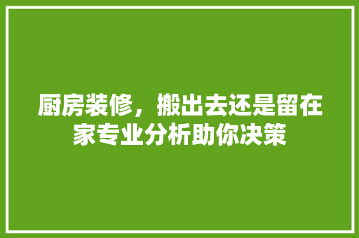 厨房装修，搬出去还是留在家专业分析助你决策