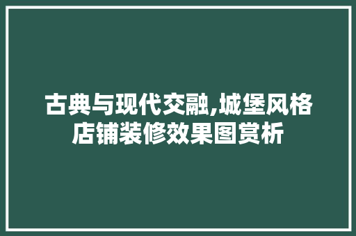 古典与现代交融,城堡风格店铺装修效果图赏析