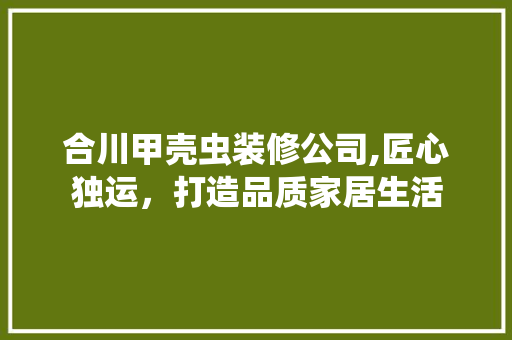 合川甲壳虫装修公司,匠心独运，打造品质家居生活