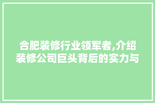 合肥装修行业领军者,介绍装修公司巨头背后的实力与魅力
