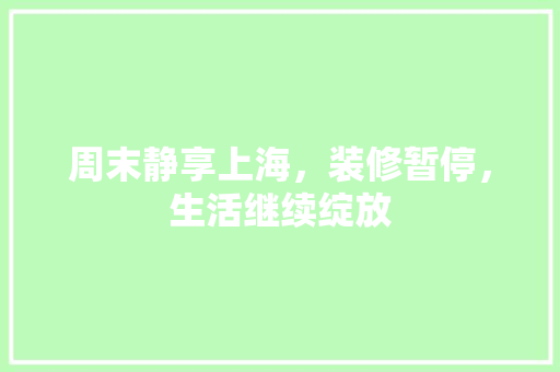 周末静享上海，装修暂停，生活继续绽放