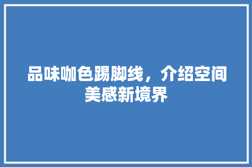 品味咖色踢脚线，介绍空间美感新境界