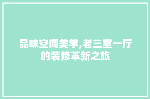 品味空间美学,老三室一厅的装修革新之旅