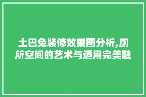 土巴兔装修效果图分析,厕所空间的艺术与适用完美融合