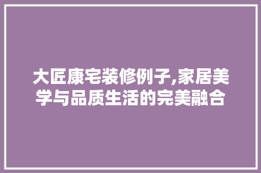 大匠康宅装修例子,家居美学与品质生活的完美融合