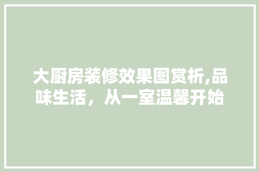 大厨房装修效果图赏析,品味生活，从一室温馨开始